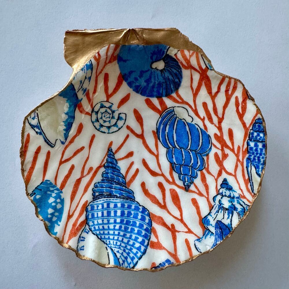 Blue and Orange Coral Seashell Trinket Dish Coastal Decor - Picture 4 of 5